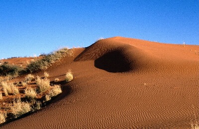 El desierto de Kalahari.